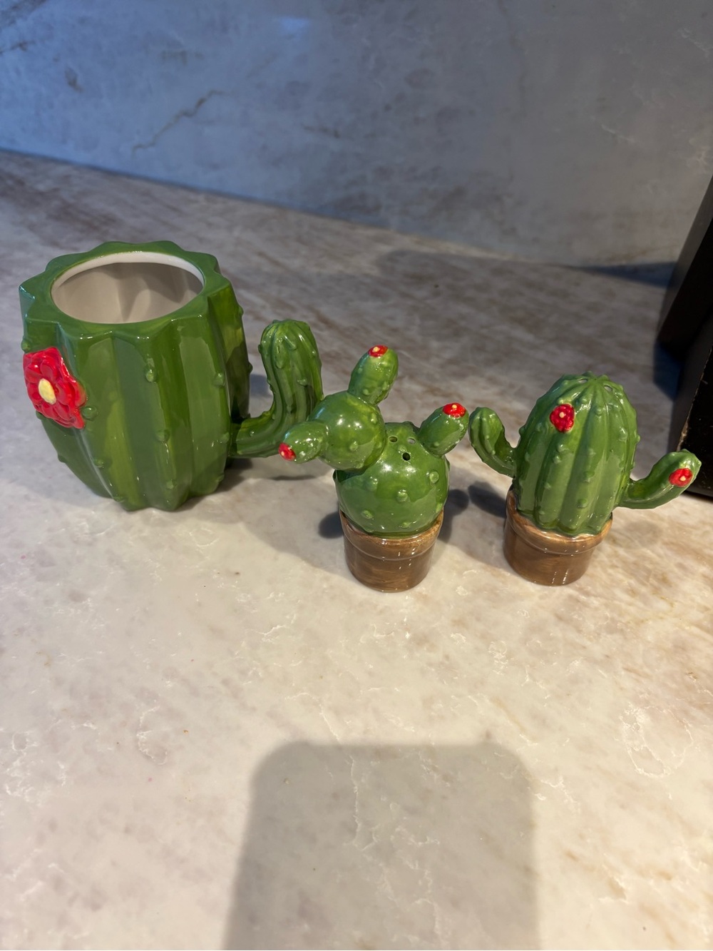Green Cactus Ceramic Salt and Pepper Shakers with mug - Green